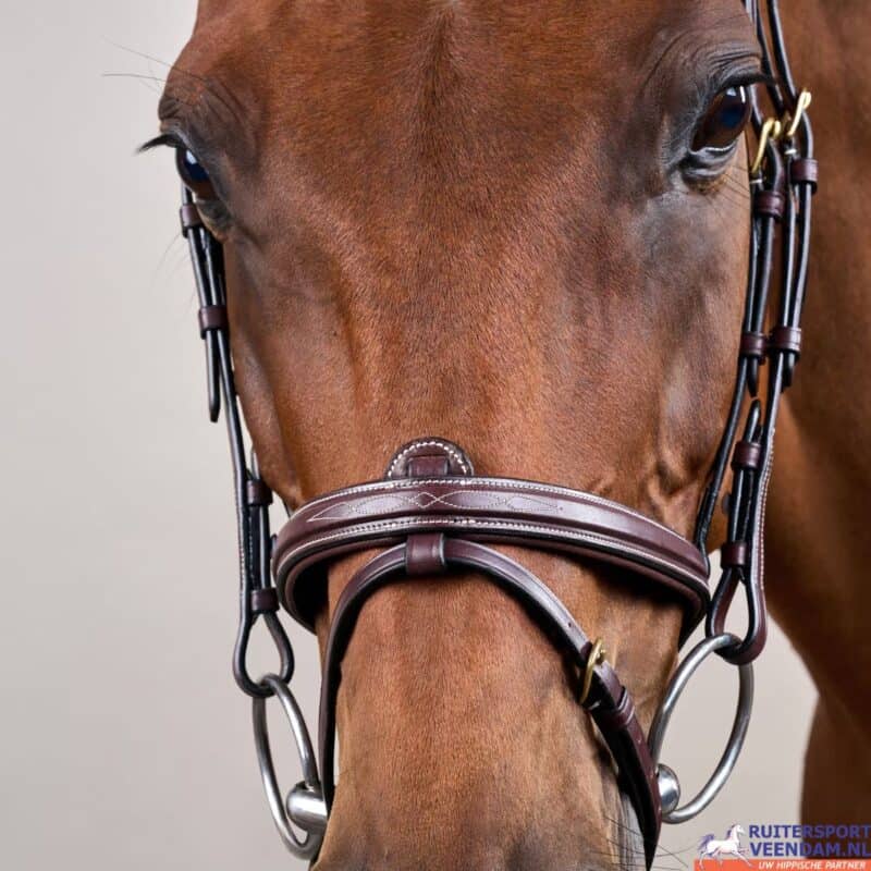 Luxe Dyon Flash neusriem voor paard, D-Collection, hoogwaardige ruitersportaccessoire.