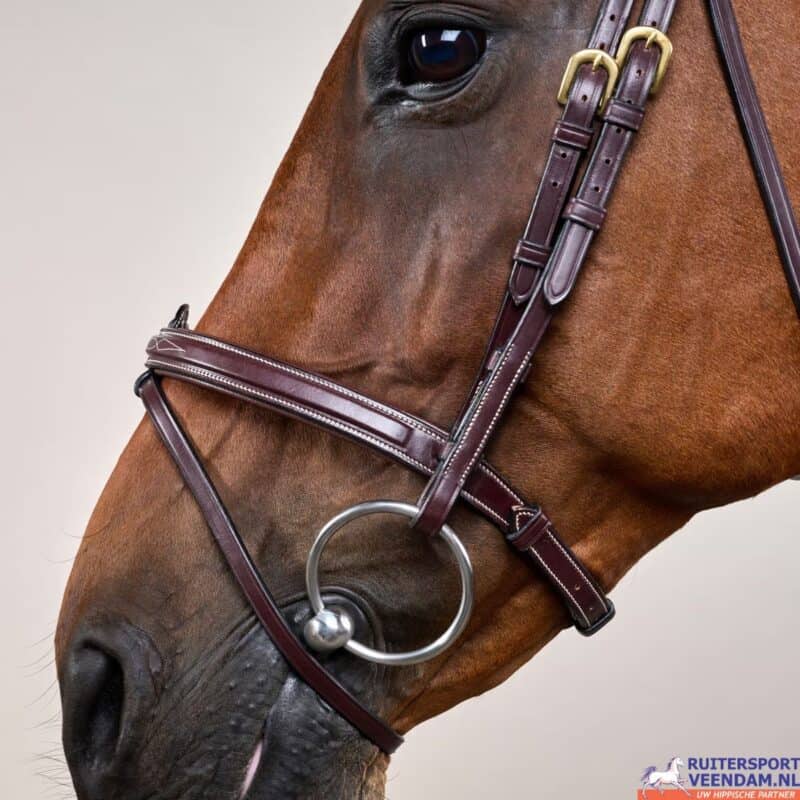 Dyon Flash Noseband D-Collection voor paard, hoogwaardige ruitersportaccessoire.