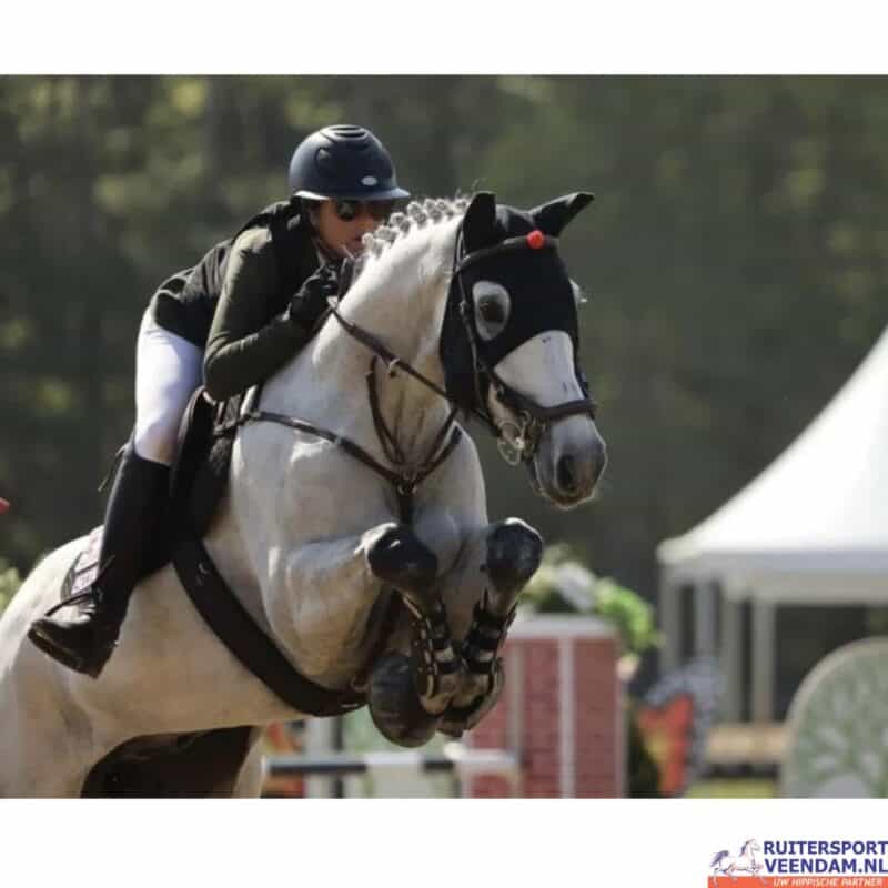 Ruitersport Veendam: paard en ruiter in actie tijdens springen.