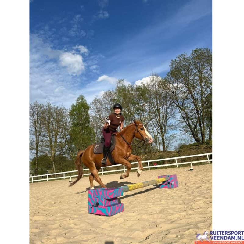 Veilige paardenhindernissen voor training en oefening.