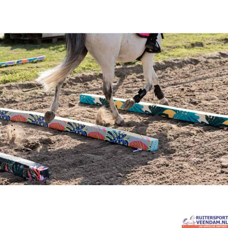 Foam Training Pole LL Set of 3 voor paardentraining en springoefeningen.