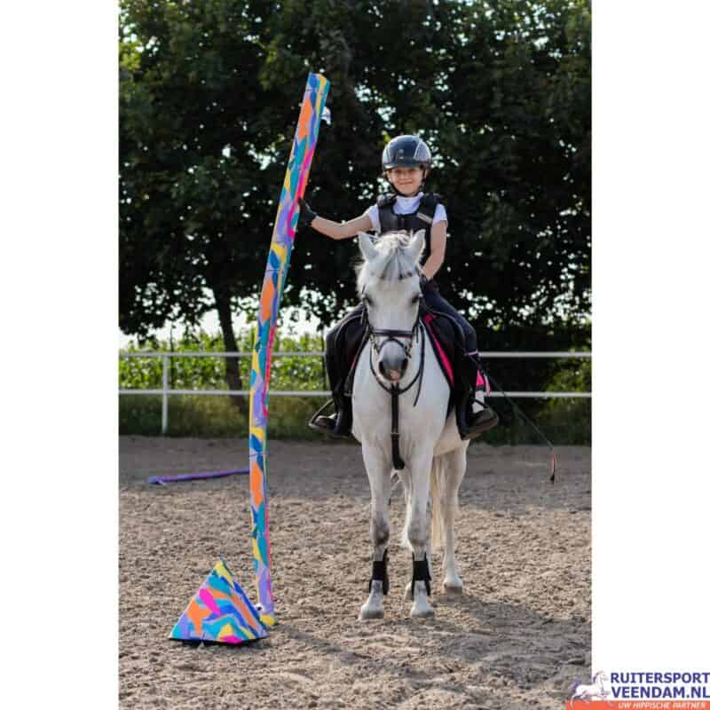 Jonge ruiter met paard en foam training pole set voor dressuurtraining.