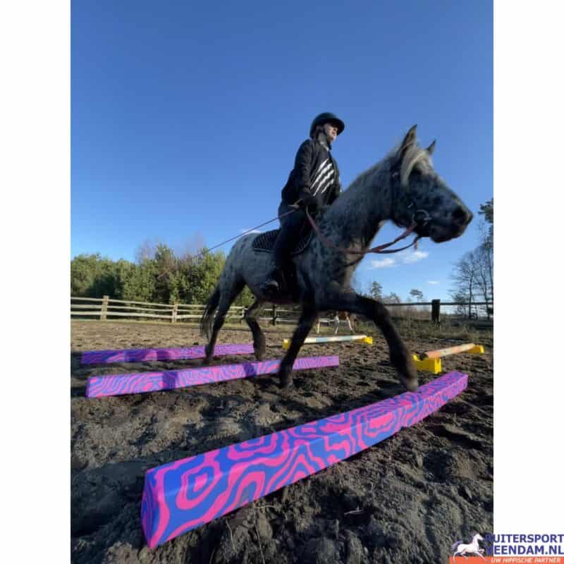 Veiligheidstraining met foam springpaal voor paarden.