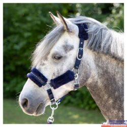 HH Halsterset Denici Cavalli Purple Passion Crystal (1)