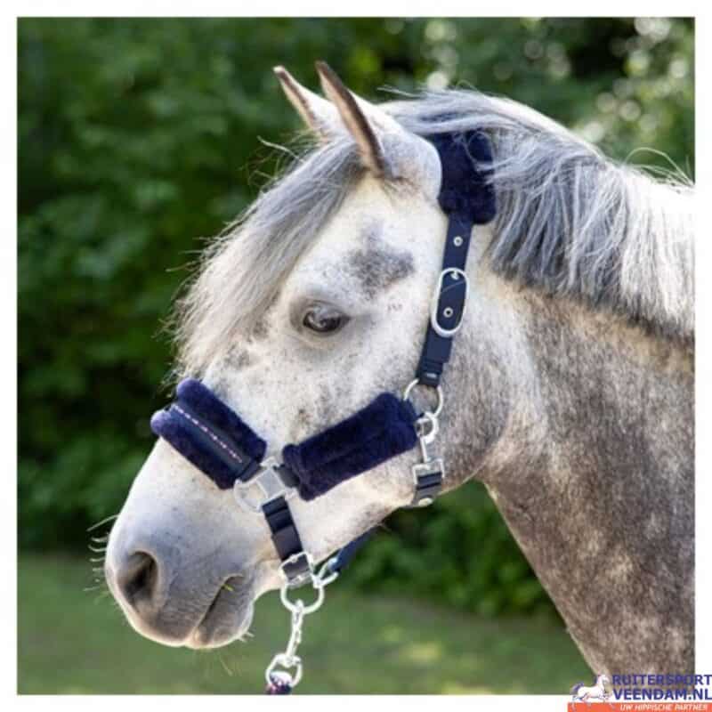 Halsterset voor paard met paarse accenten en kristallen details.