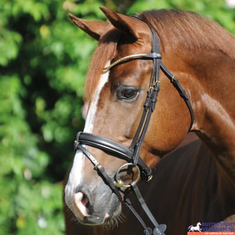 Hoogwaardig Kavalkade hoofdstel voor paarden, zwart, met comfortabele pasvorm.