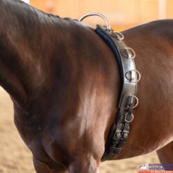 Kavalkade Longeersingel met Frame Leer