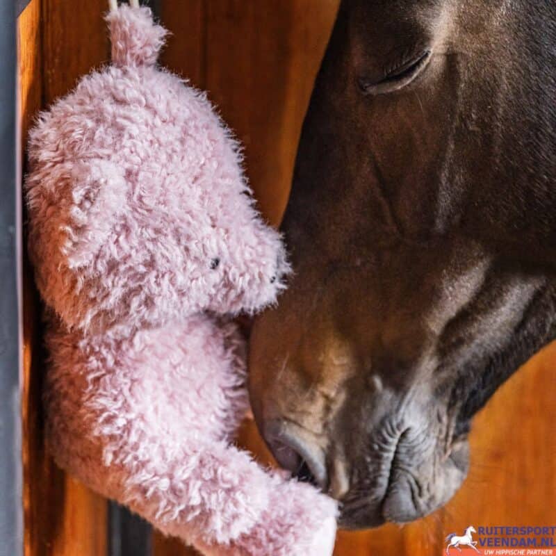 Kentucky Horse Toy Bear