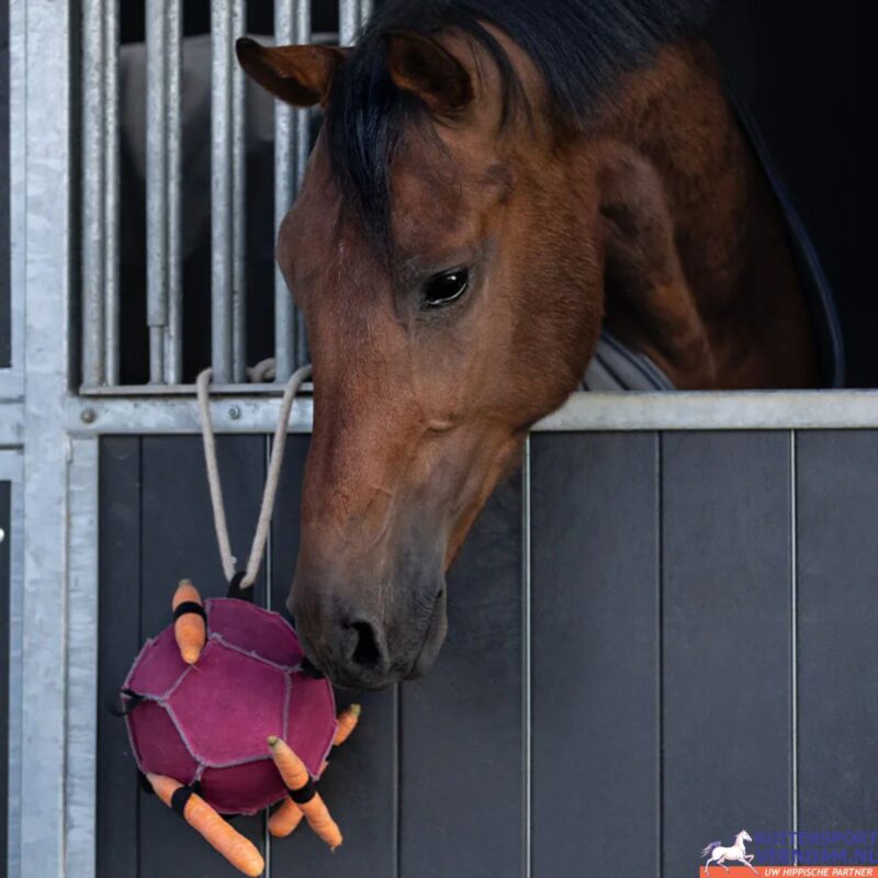 QHP Paardenspeelgoed Bal