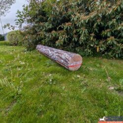 Boom Stam Big Log