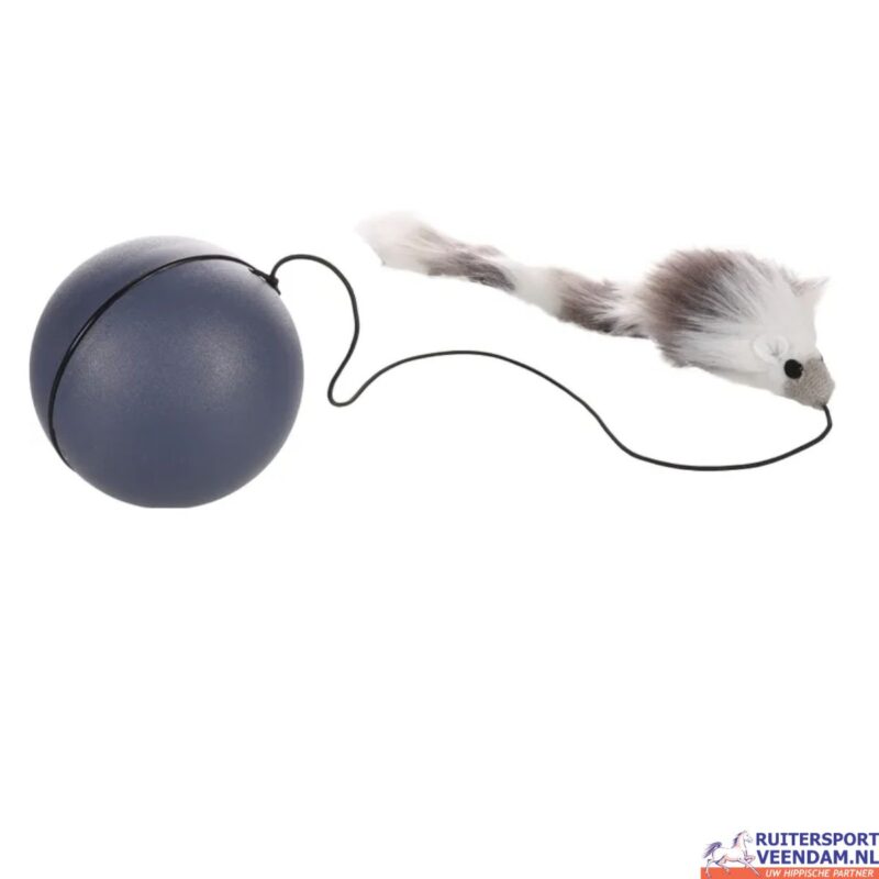 Elektronisch Speelgoed Boula Bal & Muis