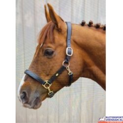 EquiLook Charleston Halster Leer