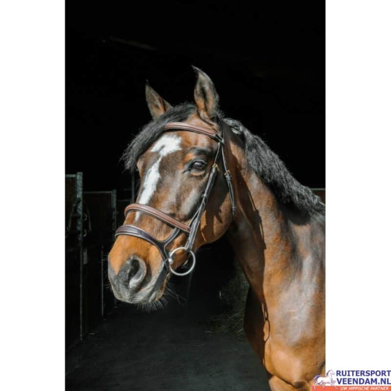 NORTON PRO Hoofdstel van Geolied Leer - Olijf (3)