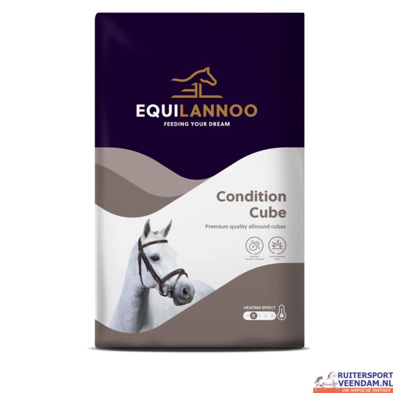 Equilannoo Condition Cube