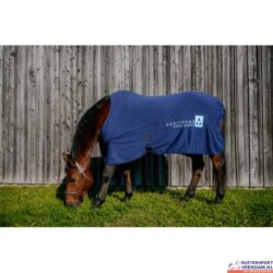 Equitheme Cool and Dry Cooling Sheet (3)