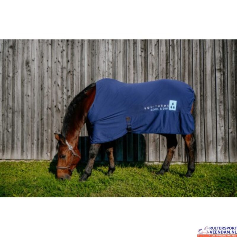 Equitheme Cool and Dry Cooling Sheet (3)
