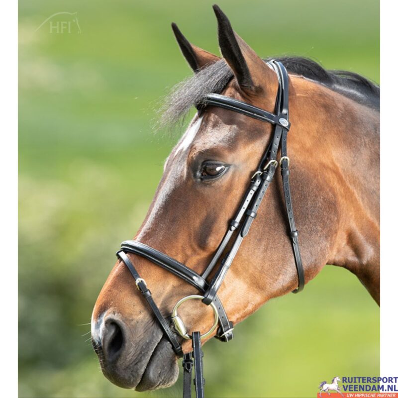HFI Hoofdstel Comfort (4)