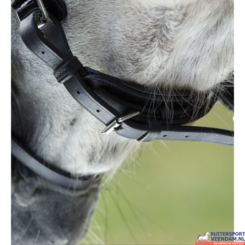 HFI Hoofdstel Luxe (3)