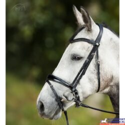 HFI Hoofdstel Luxe (3)