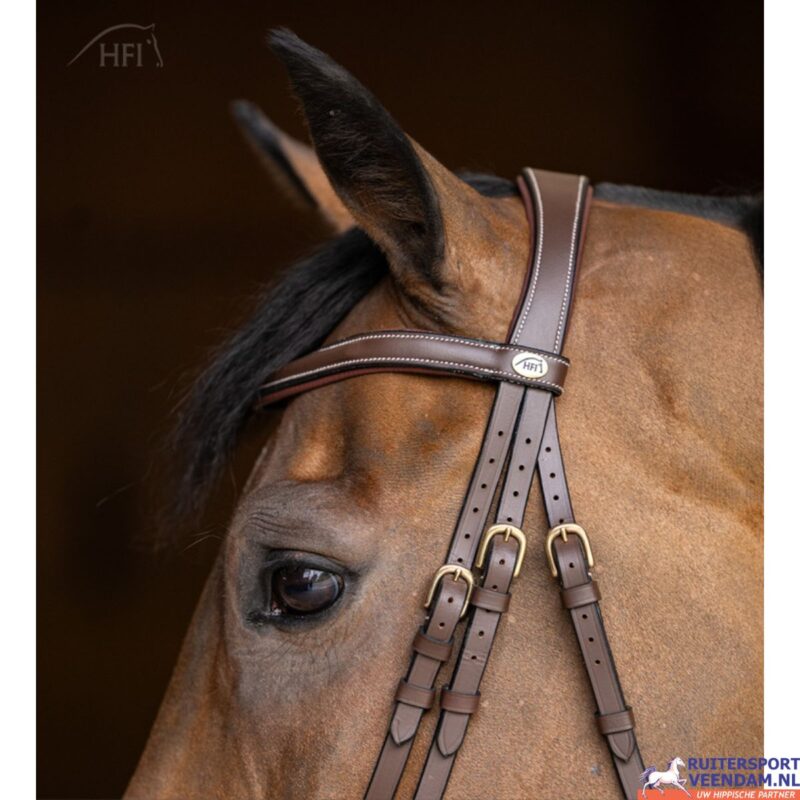 HFI Hoofdstel Wavy (2)