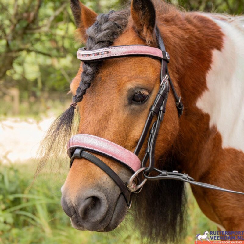 HH Hoofdstel Diva Mauvewood (1)