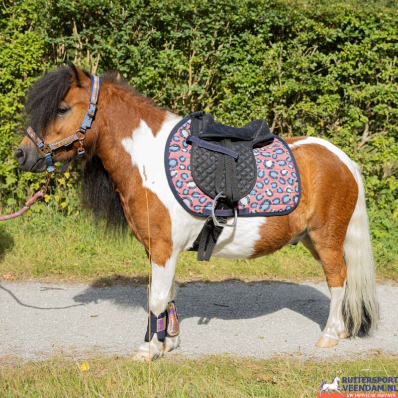 HH Zadeldek Diva Mauvewood (2)