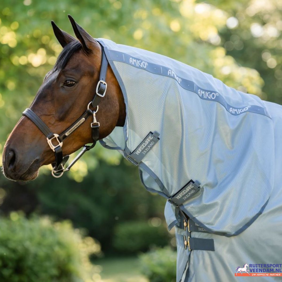 Horseware Amigo Integrated Fly Sheet (2)