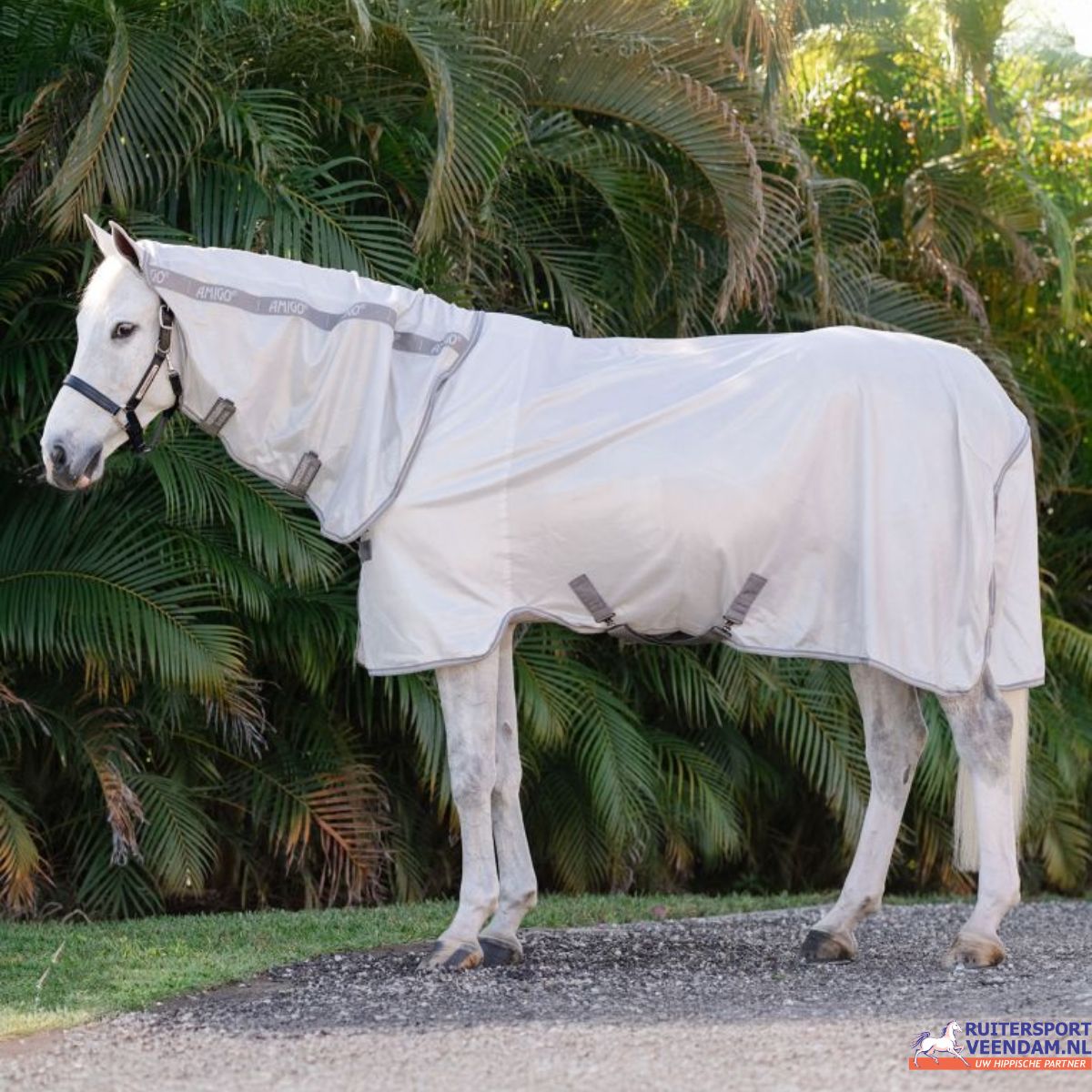 Horseware Amigo Integrated Fly Sheet (2)