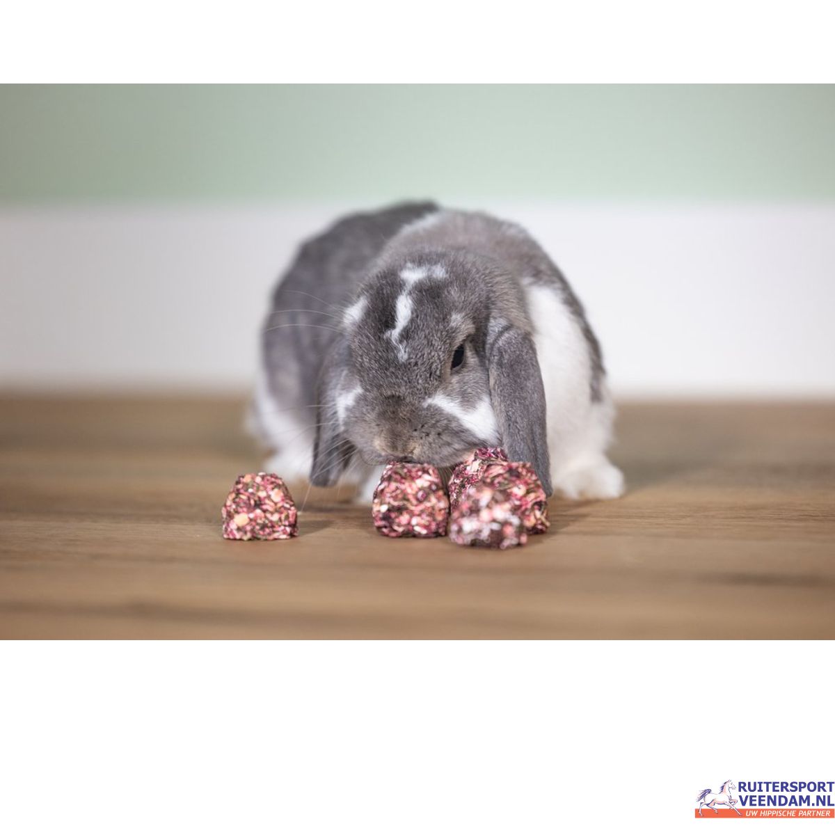 BZ Cones Knaagdiersnack (3)