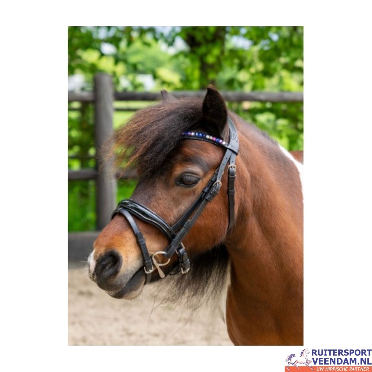 HB Hoofdstel Petit - Afbeelding 5