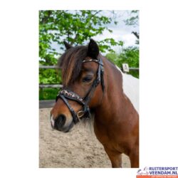 HB Hoofdstel Luipaard